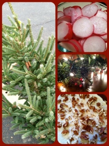 1. Tiny baby Christmas tree that I had to snap a picture of! 2. Christmas in a bowl: Radishes, 3. Lights!, 4. Pumpkin-gingerbread cake